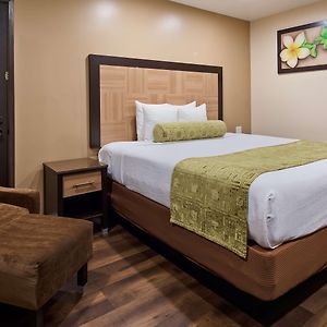 Queen Room Mobility accessible